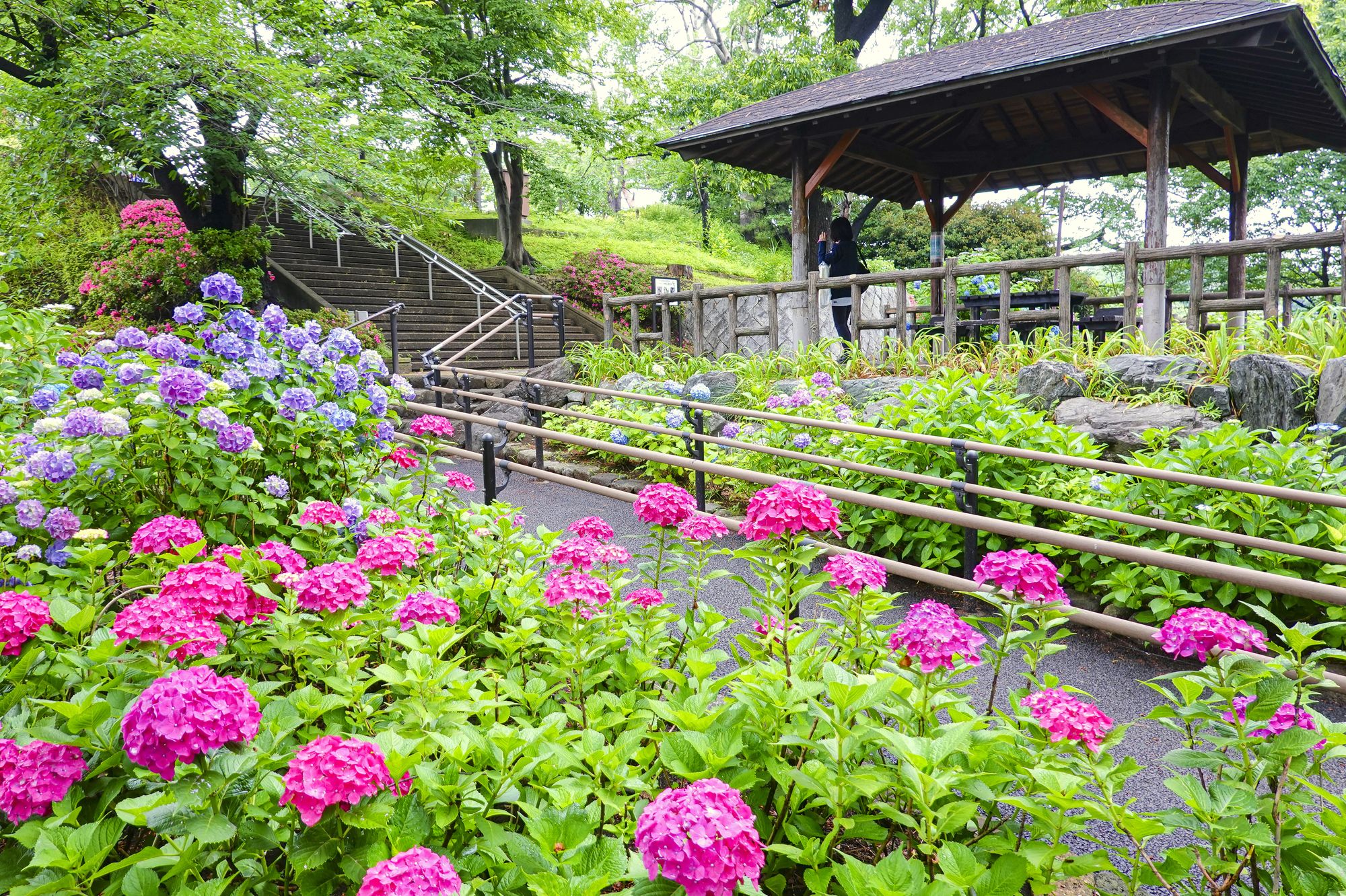 🌳 타마가와다이 공원 이미지 11